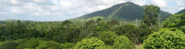 contact-us-page-image