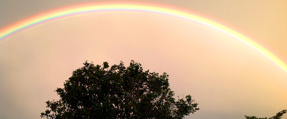 Mission-Beach-Slider-Image-19