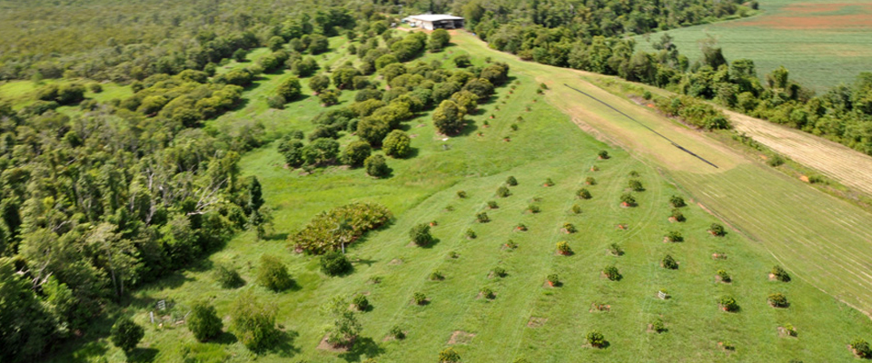 Mission-Beach-Slider-Image-2