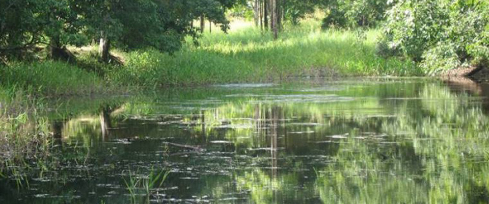 Mission-Beach-Slider-Image-4