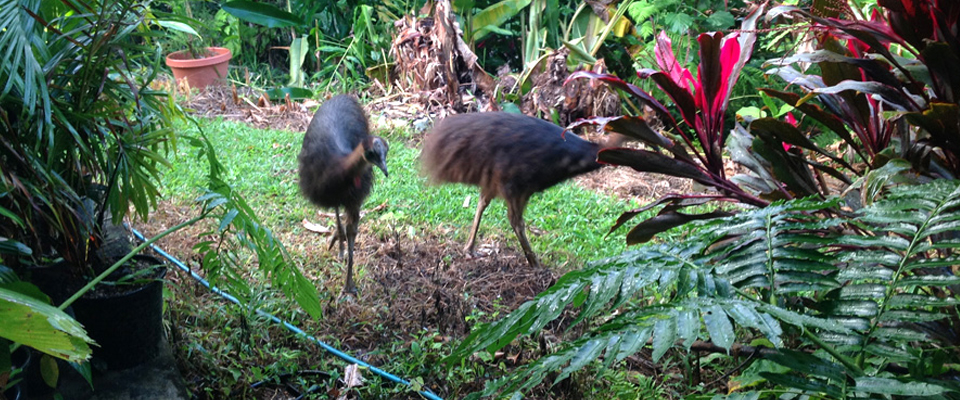 Mission-Beach-Slider-Image-5