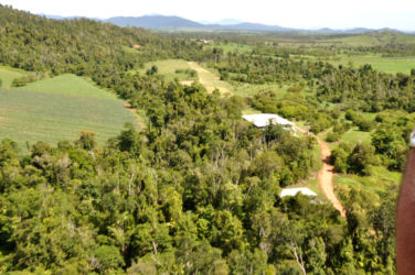 Aerial-View-of-Sheds,-western-boundary-within-trees-to-west-of-shed