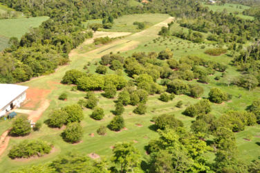 Aerial-view-of-orchards-2014