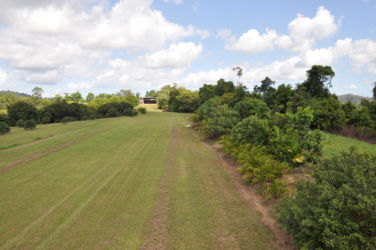 Coming-down-to-land-on-Runway