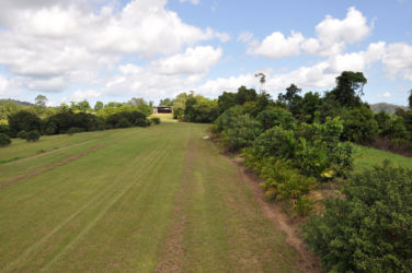 Coming-down-to-land-on-Runway