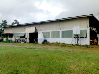 Main-Shed-Eastern-Wall