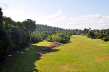 Runway,-Lychees-on-right