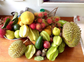 Wonderful-fruits-grown-nearby